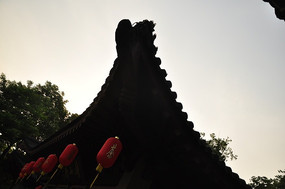 �Ž���������