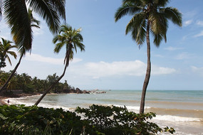 ���Ƿ羰���ĺ��Ǵ�����