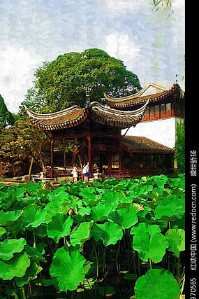 ������ɫ