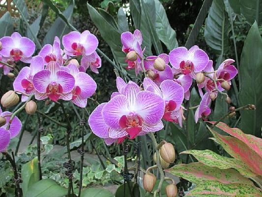 ����д��