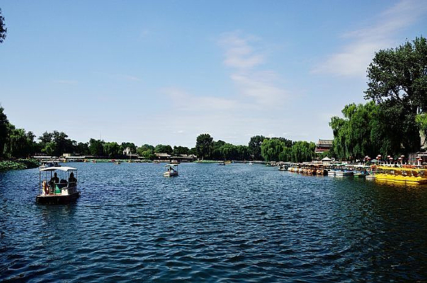 ���ƺ��ɻ�