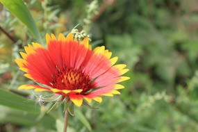 �����Ŀ���