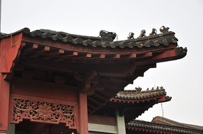 �Ŵ�ľ�ṹ����