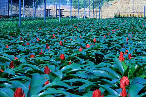 �����һ�