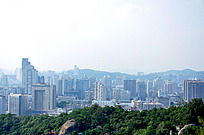 ���ŵ�һ��