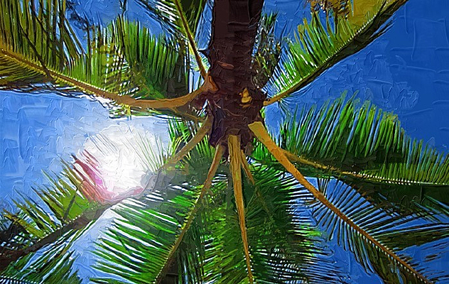 Ҭ����ˮ�ʻ�