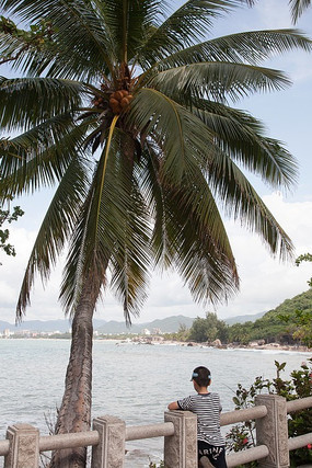 Ҭ���º���