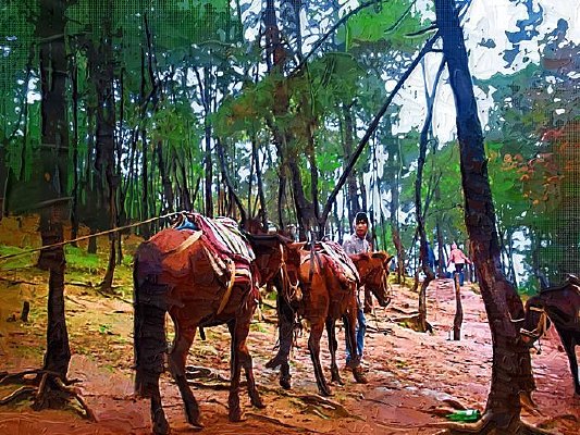 ������ַ羰