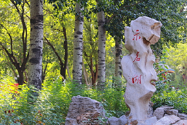 ������԰