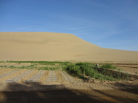 �������ɳĮ