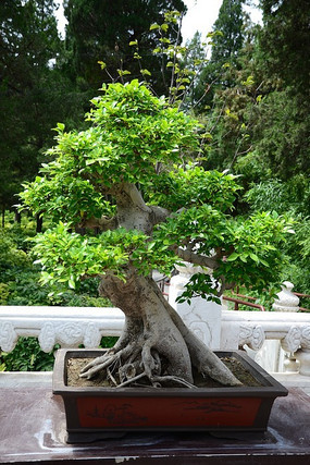 ���ص��辰