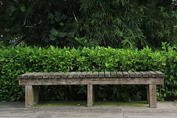 ��԰��ľ����