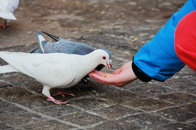 �����������ǹ㳡