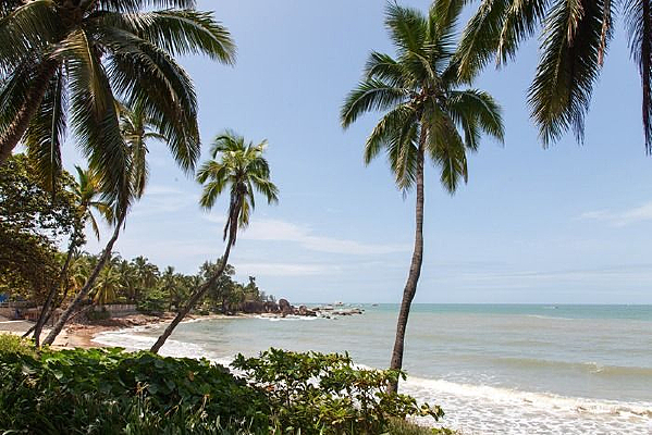 ����Ҭ��������