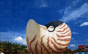 ����ɫ��