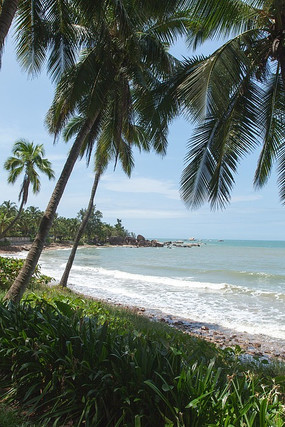 ��̲�ϵ�Ҭ����