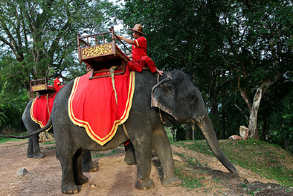 ����կ����