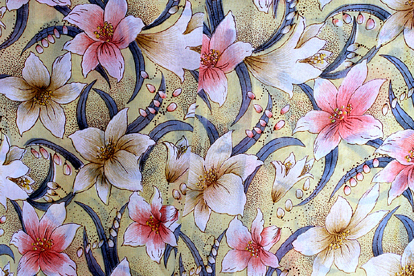 ������ͼ