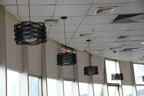 Ư���ĵ���