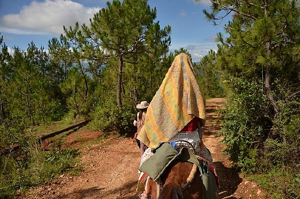 ����Ů��