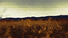 �ຣ���羰�ͻ�