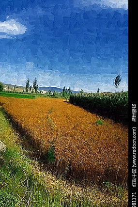 �����·��