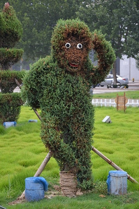 十二生肖造型的树木之猴