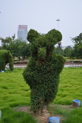 十二生肖造型的树木之虎