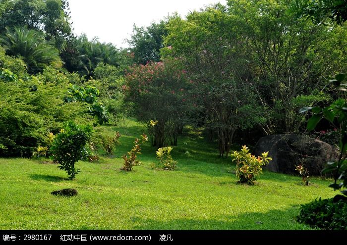 萬石植物園綠草坪高清圖片下載_紅動網