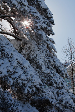 ������Ⱥɽ