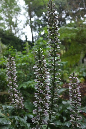 һ��С���䴮��