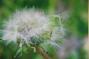 Ư�����ѹ�Ӣ