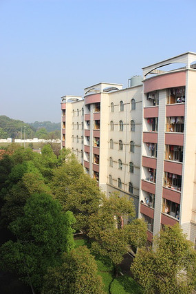 ��ɳѧԺ����