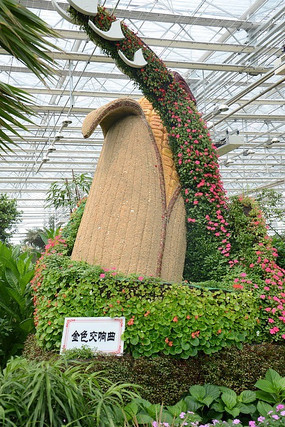 ��ɫ����