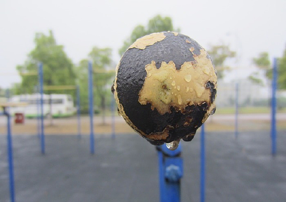 ����������Ʒ