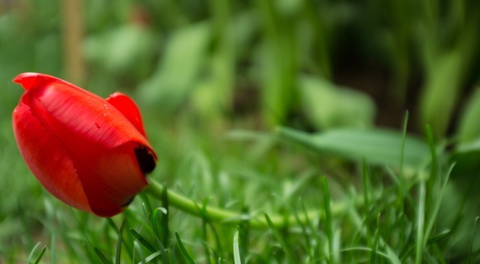 ������Ļ���