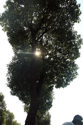 ̫���µĴ���