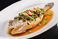 ѩ��ë����Ұ������