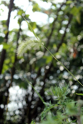 ���ʱ���ͼ