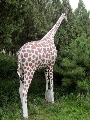 ����¹ģ��