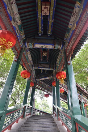 �Ŵ�����