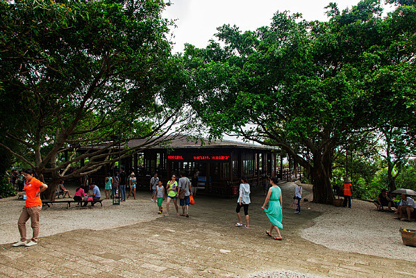 ������޵�