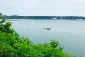 ��޵�����