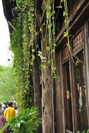 ���ϵ�ľ����