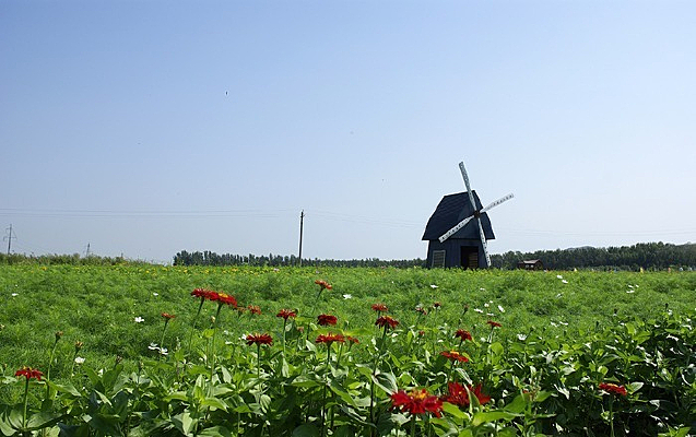 ������ķ糵