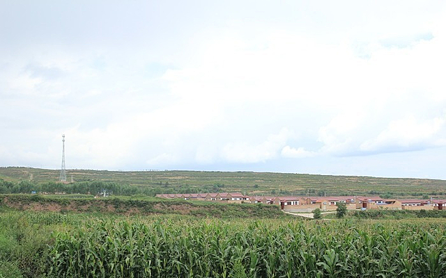 ���������׵�