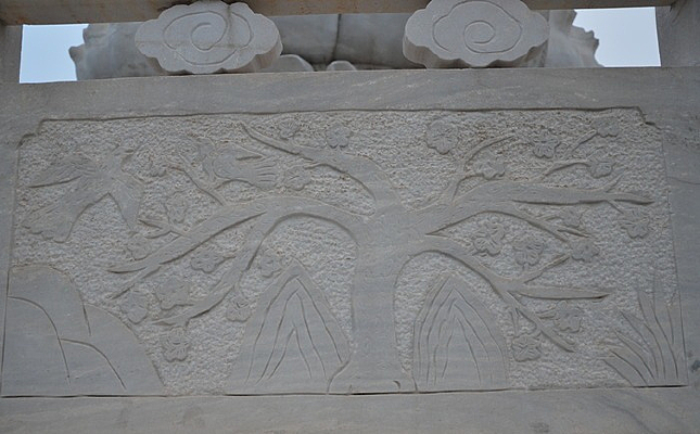 ���ϵ�ľ��