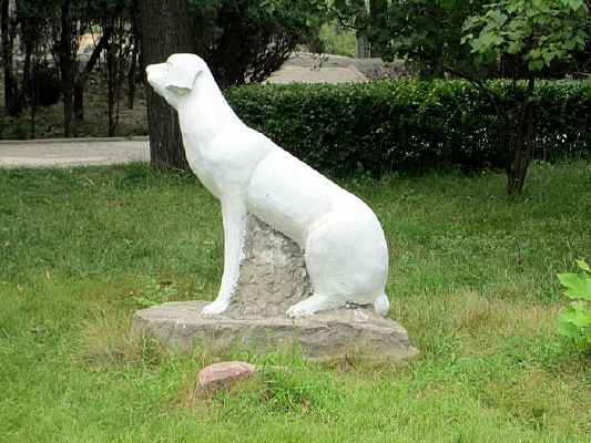 ����Ф����