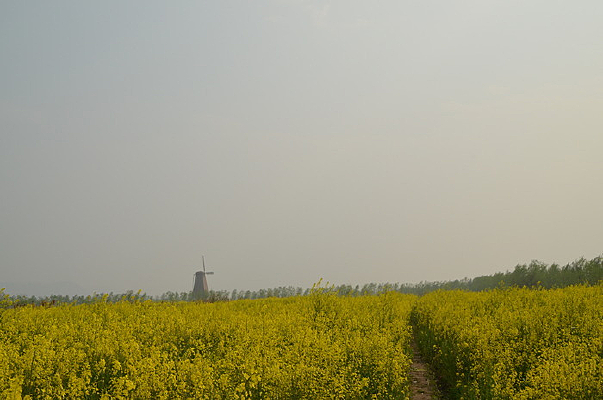 �ƻƵ��Ͳ˻�