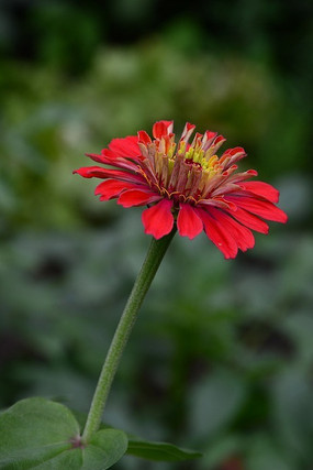 ����һ��